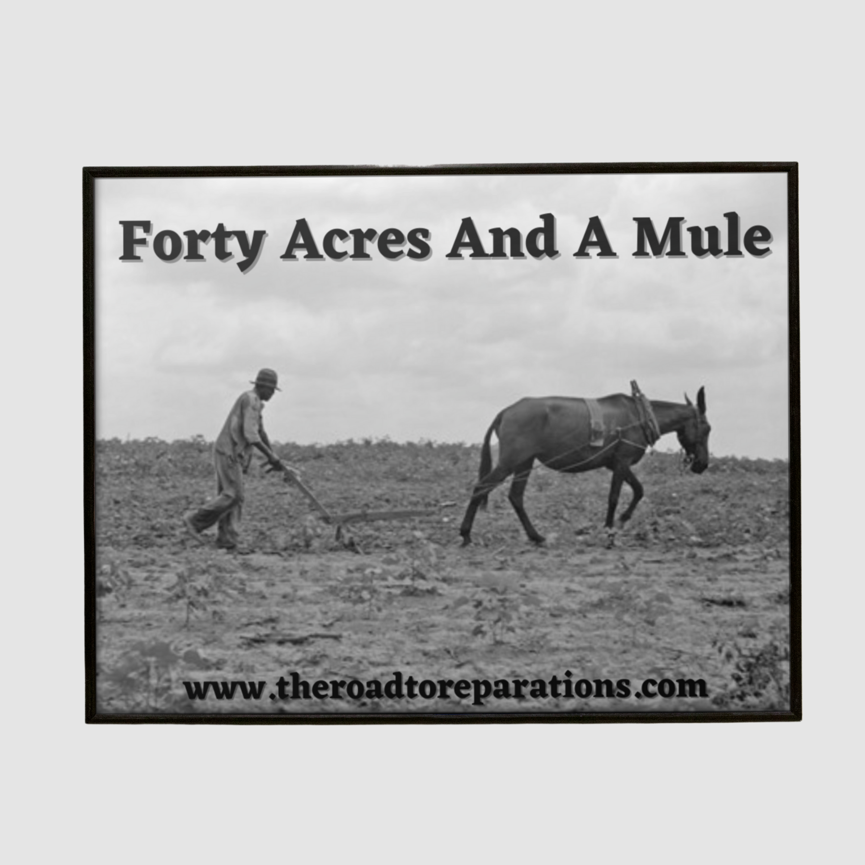 Forty Acres And A Mule Reparations Now The Road To Reparations